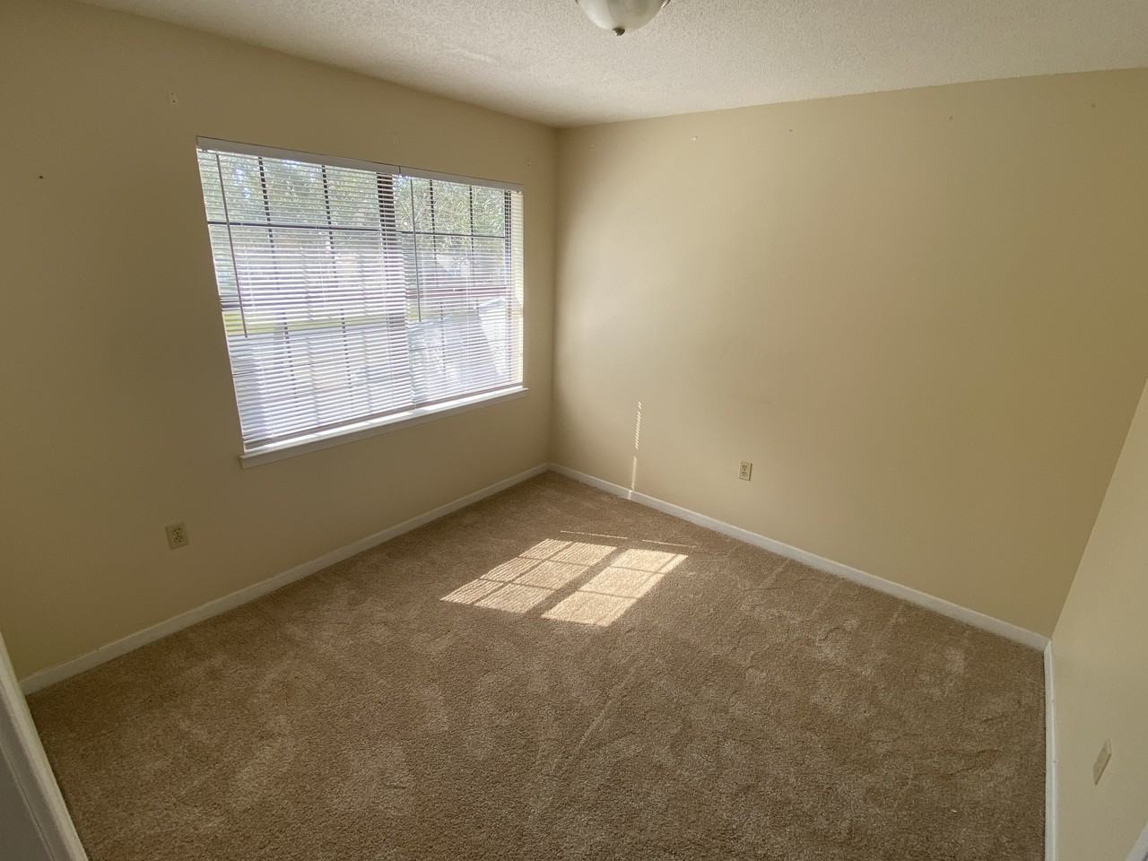 1031 4th Ave - Photo 6 of 12