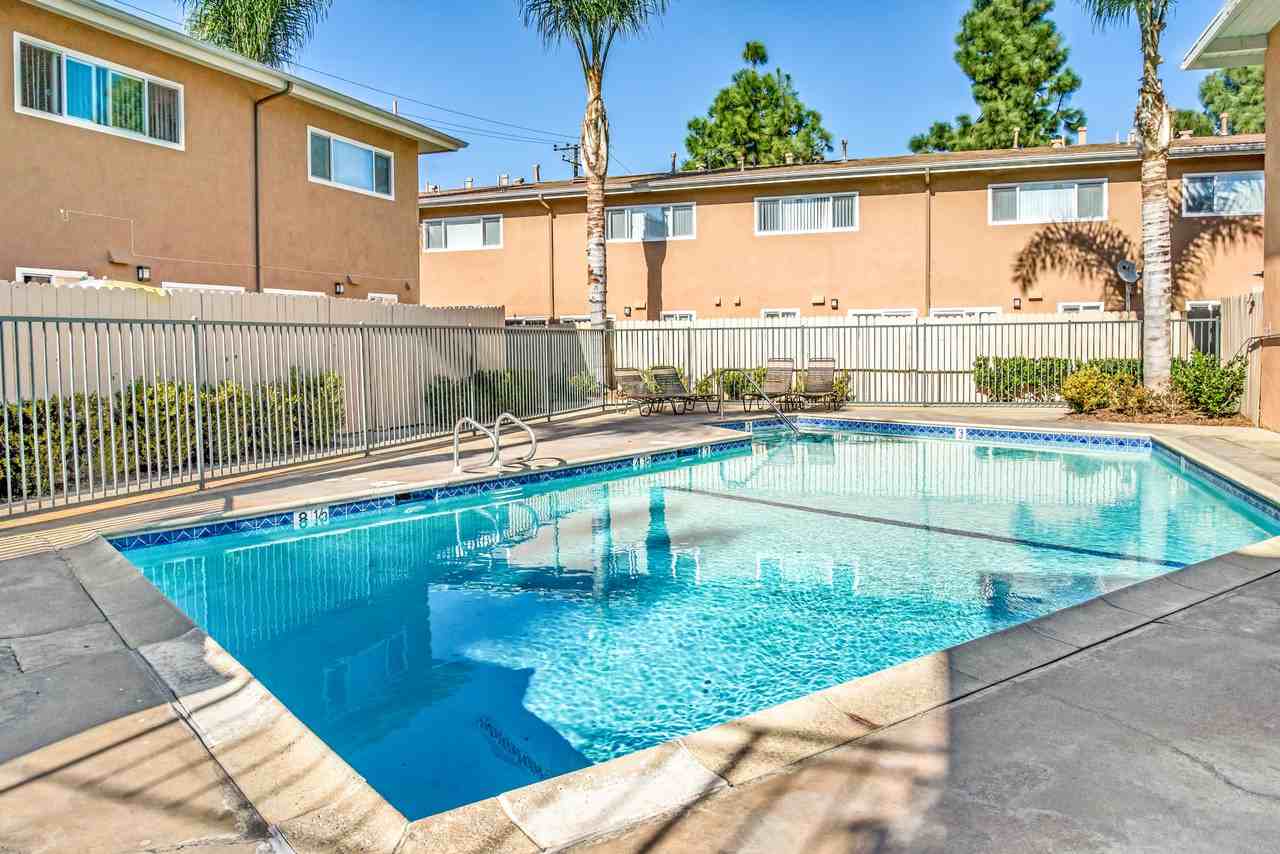 Olive Tree - Photo 5 of 19