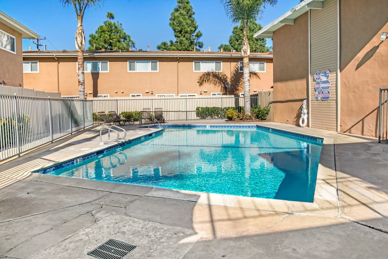 Olive Tree - Photo 6 of 19