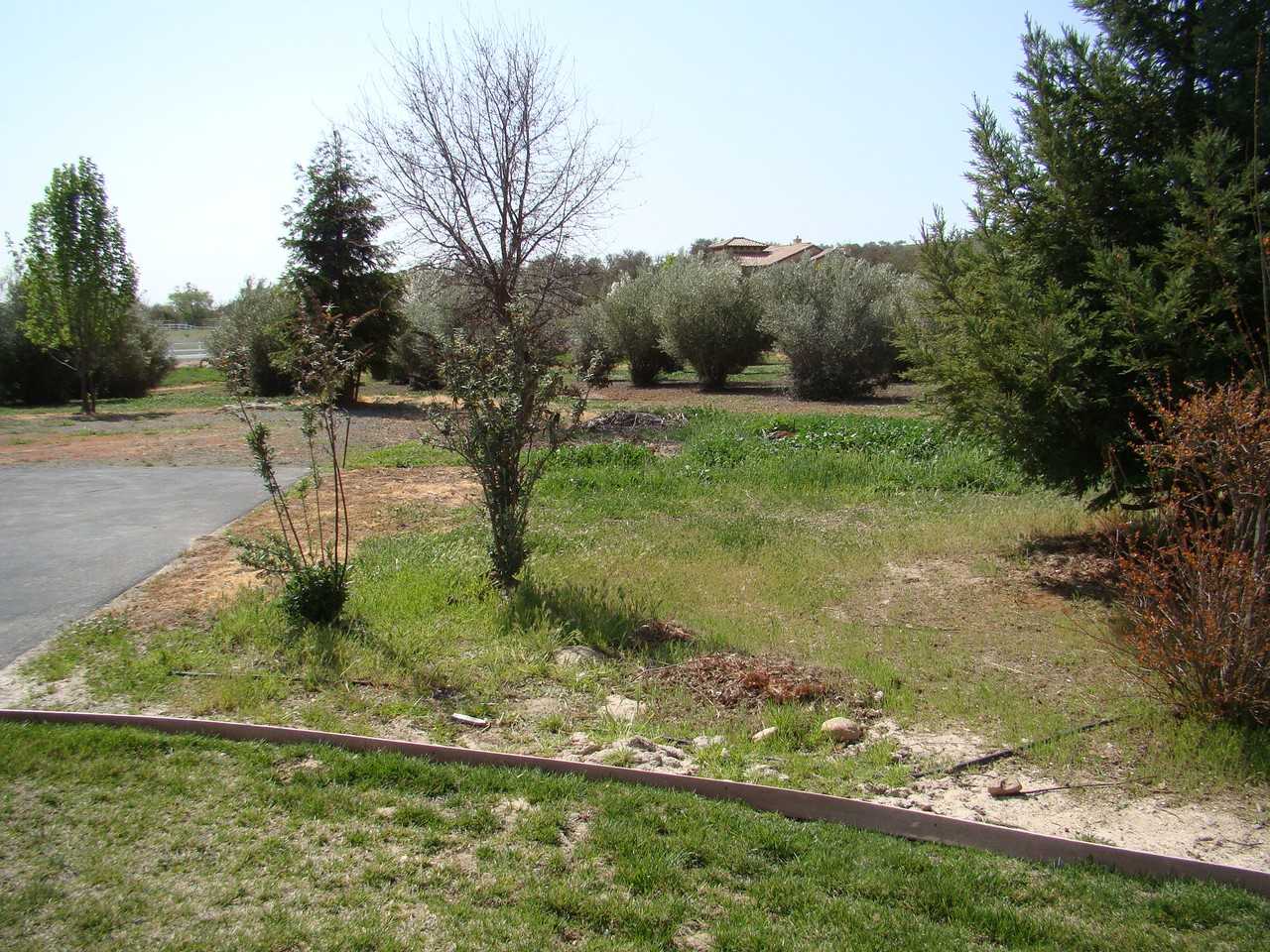 4555 Heidi Way - Photo 3 of 14