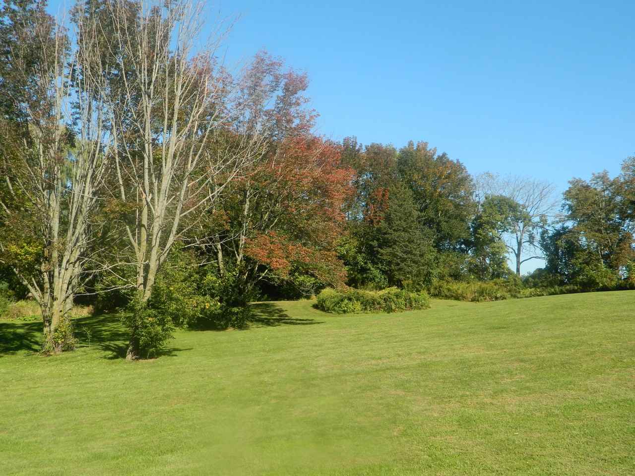 12960 NY-193 - Photo 3 of 24