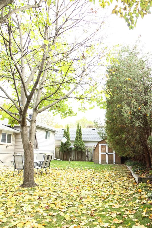 16 O'Dell Apartments in Ajax, ON L1S 2W7 Zumper