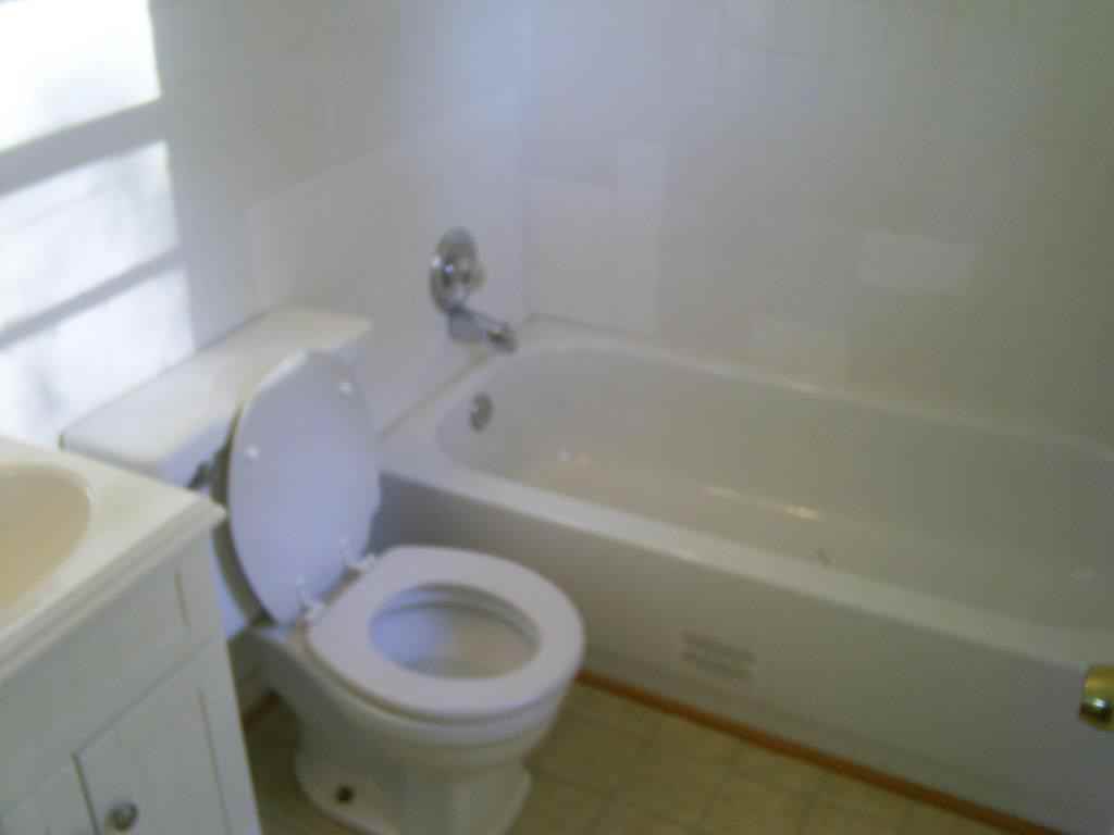 1004 Woodnell St - Photo 7 of 7