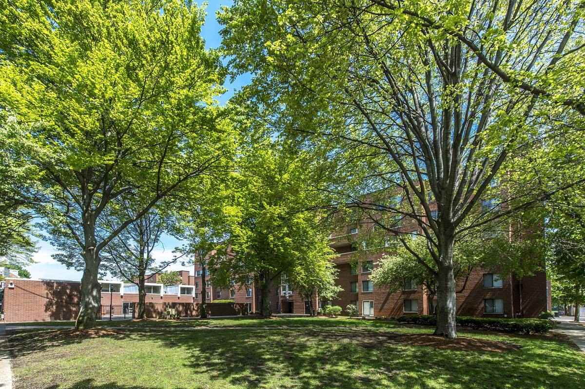 Pearl St. - Photo 2 of 12