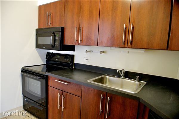 731 N Dearborn St - Photo 2 of 12