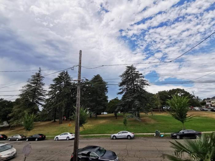 1732 18th Ave - Photo 3 of 24