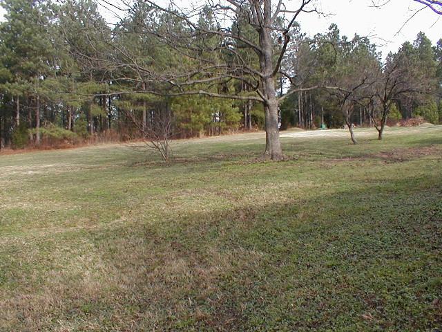 39257 Duck Rd - Photo 2 of 12