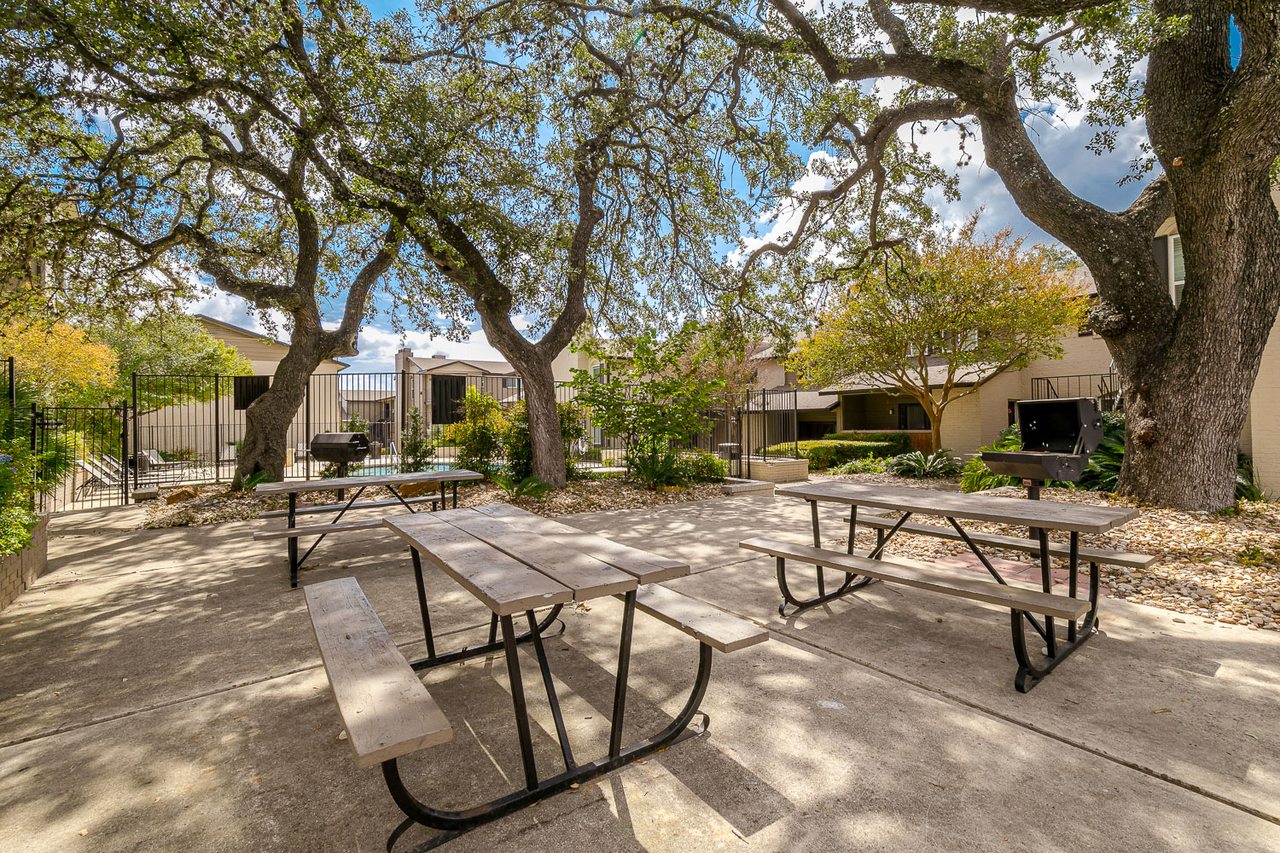 City Summit - Photo 4 of 50