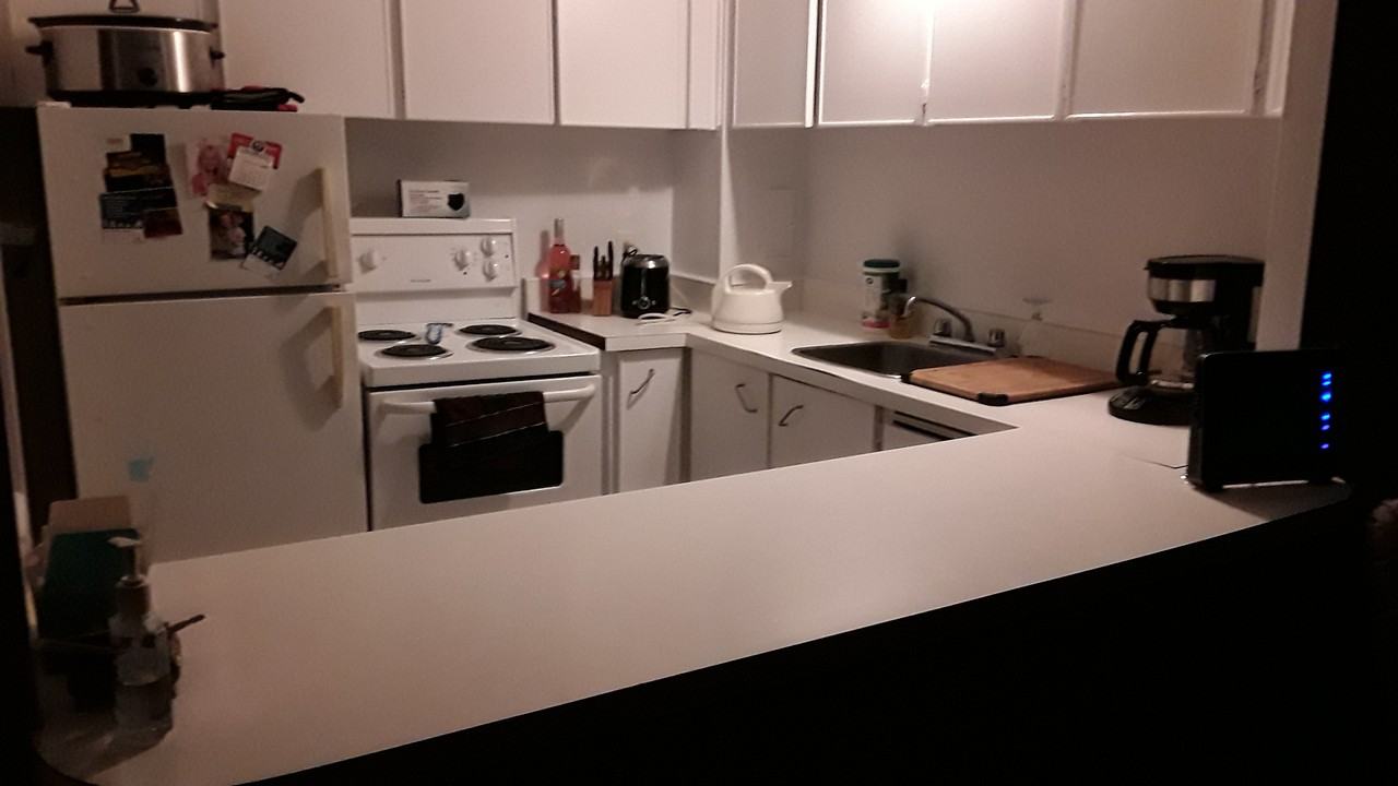 321 Waverley Street - Photo 2 of 10