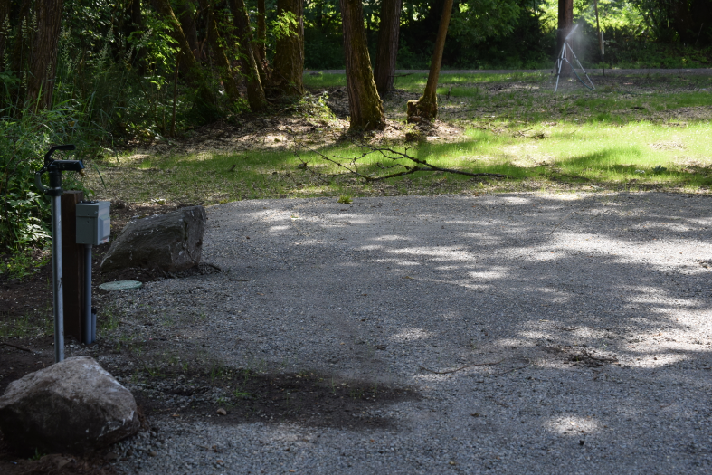 2437 73rd Ave Sw - Photo 2 of 3