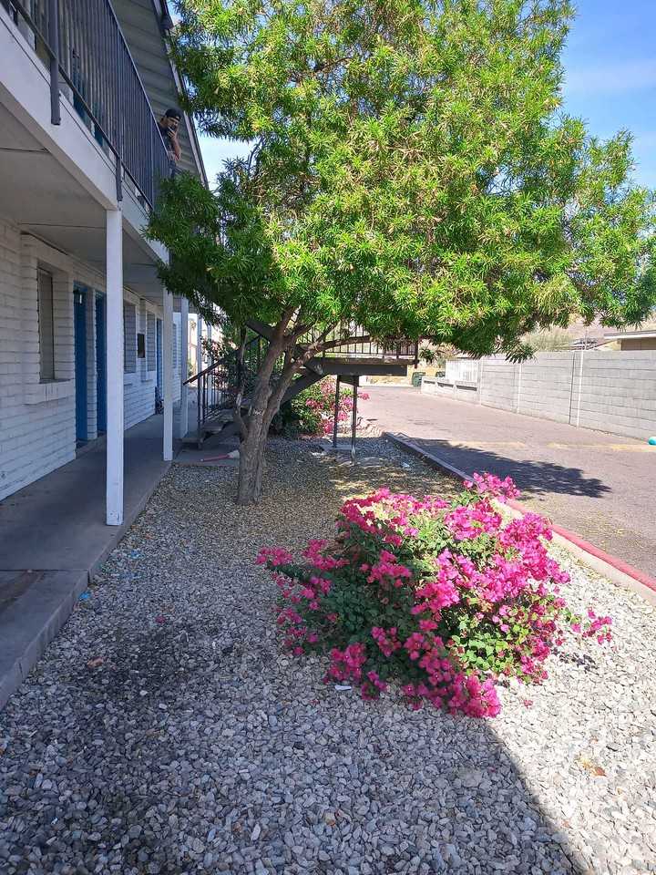 1725 W Vogel Ave - Photo 5 of 16
