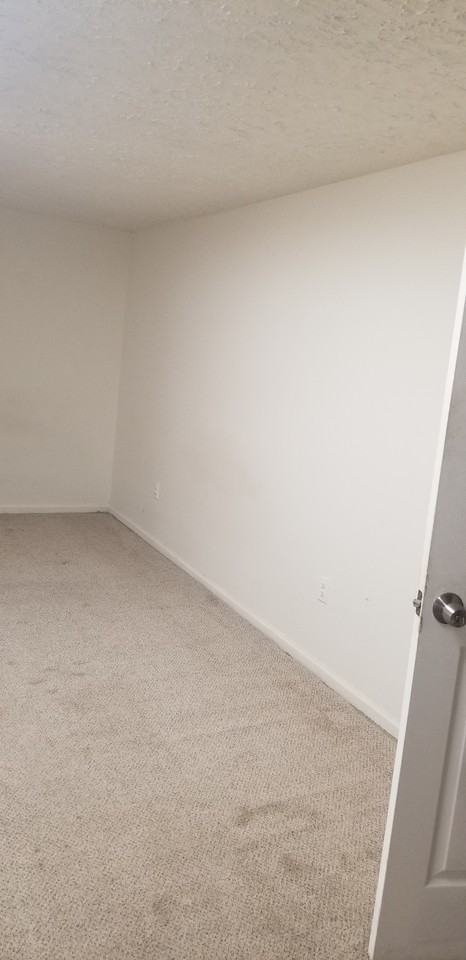 317 Potomac Avenue #5 - Photo 2 of 3