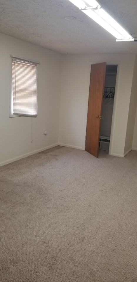 317 Potomac Avenue #5 - Photo 3 of 3