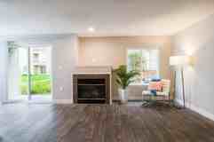 The Lighthouse - Photo 1 of 1