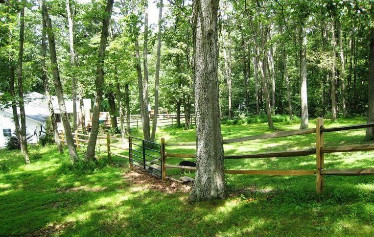 2608 Gillis Falls Rd - Photo 3 of 17