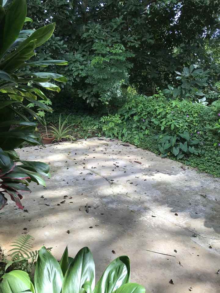 1711 Ahiahi Road #1 - Photo 3 of 11
