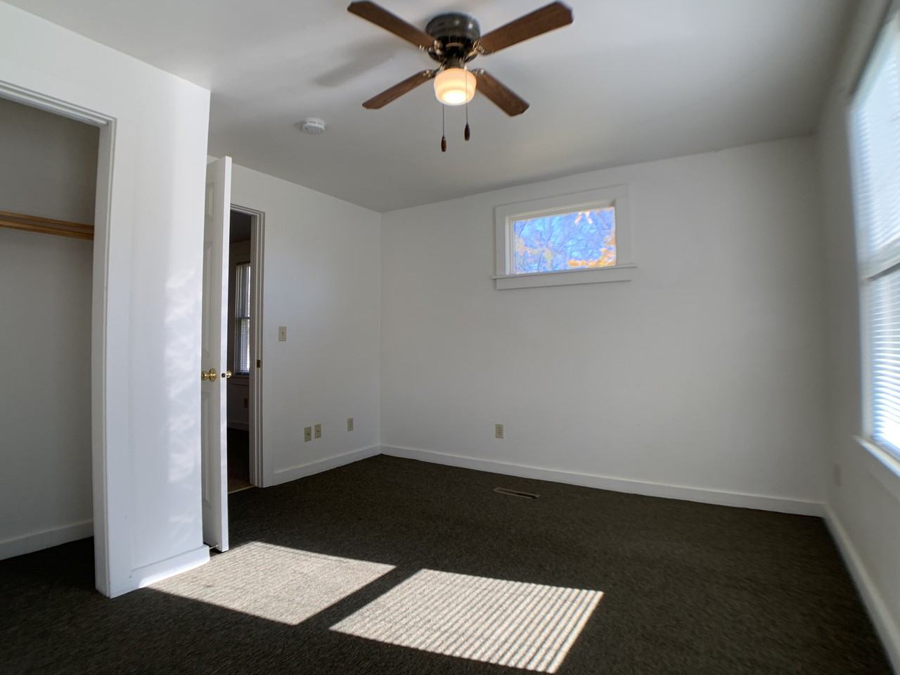 215 Canning St E - Photo 6 of 21