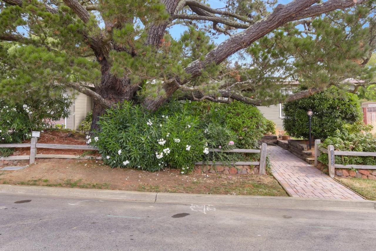 1335 Parrott Dr - Photo 3 of 42