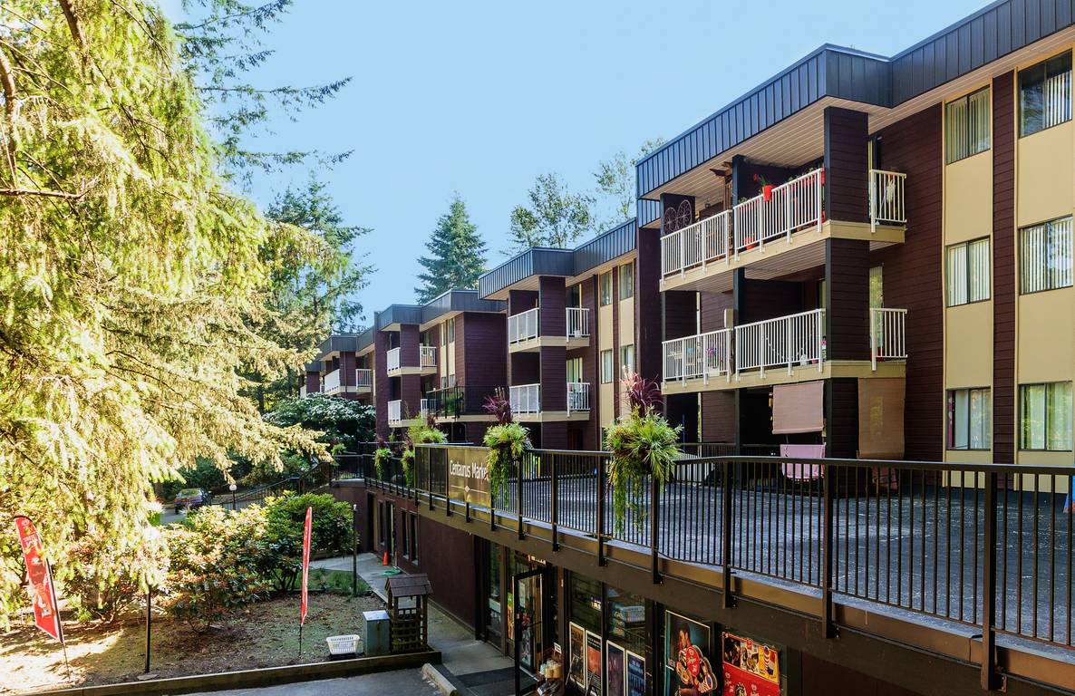 9005 Centaurus Circle - Photo 2 of 9