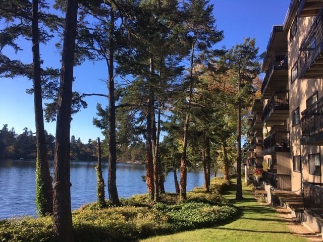 135 Gorge Rd E - Photo 3 of 5