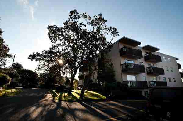 625 Fernhill Rd - Photo 3 of 4