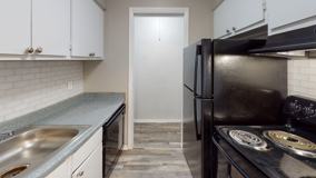 Starburst {20210127} - Photo 1 of 1