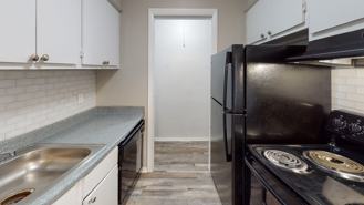 Starburst {20210127} - Photo 1 of 1