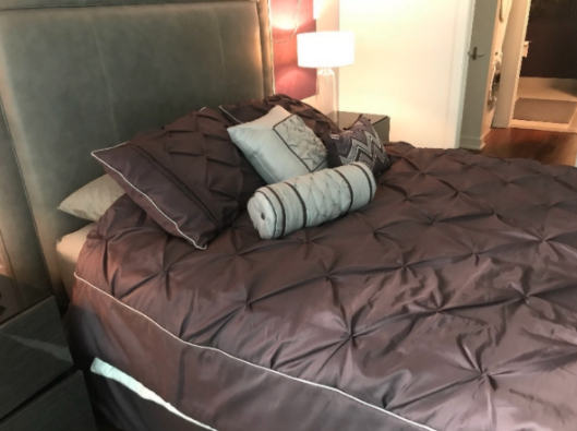 1155 Rue de la Montagne #709