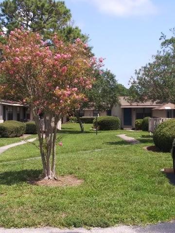 Driftwood Apartments 91 W 11th St, Atlantic Beach, FL 32233 Zumper