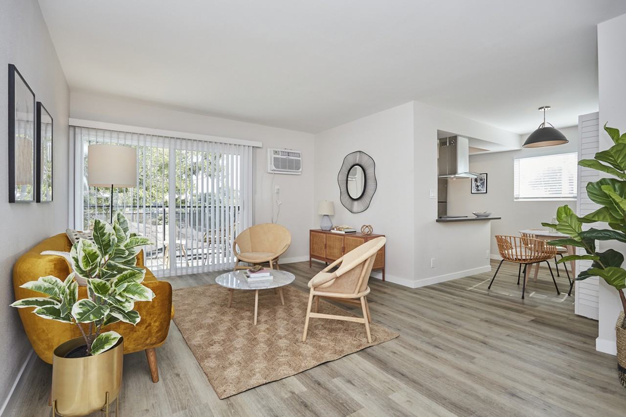 Callie on Curson - Photo 6 of 14