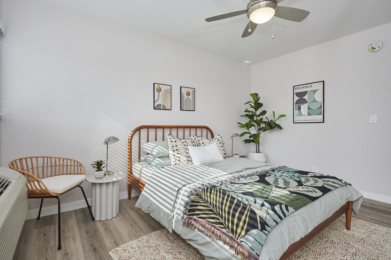 Callie on Curson - Photo 7 of 14