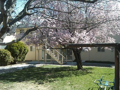 217 NW 7th St - Photo 3 of 6