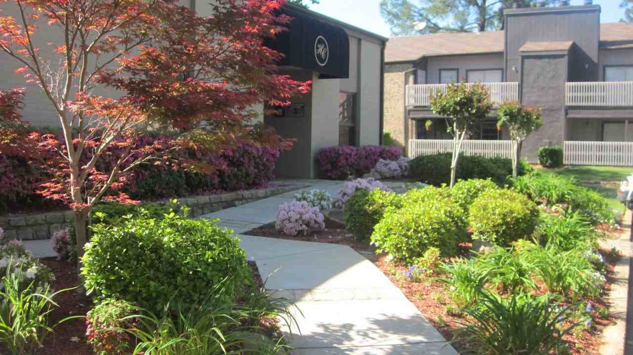 Maverick on the Loop - Photo 5 of 42