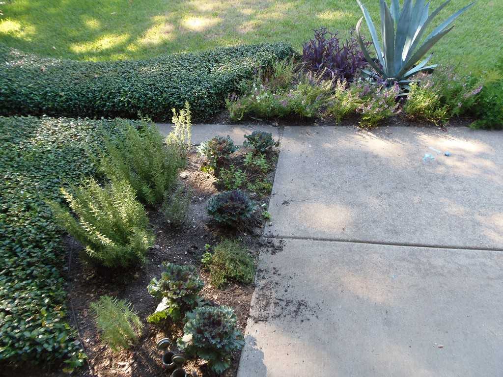 909 Knott Pl - Photo 3 of 21