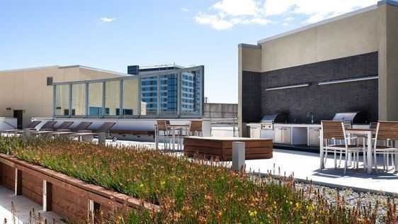 Rincon Green - Photo 6 of 44