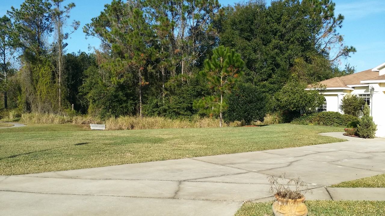 23919 Tee Pee Ct - Photo 3 of 23