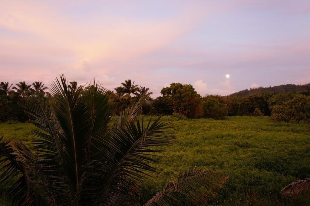 5071 Opelu St - Photo 2 of 21