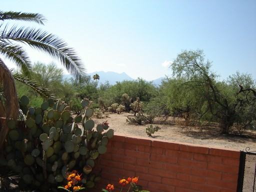 304 N Calle De Las Profetas - Photo 2 of 11