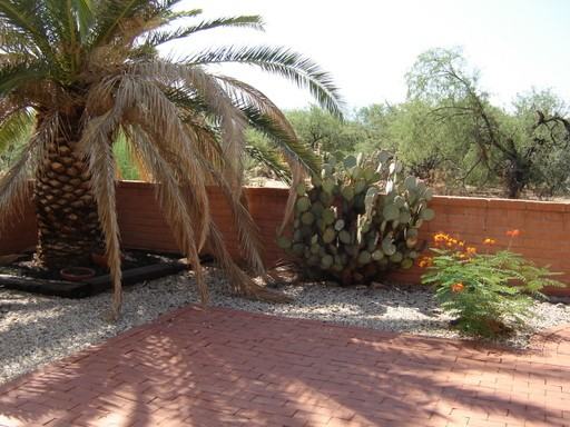 304 N Calle De Las Profetas - Photo 3 of 11