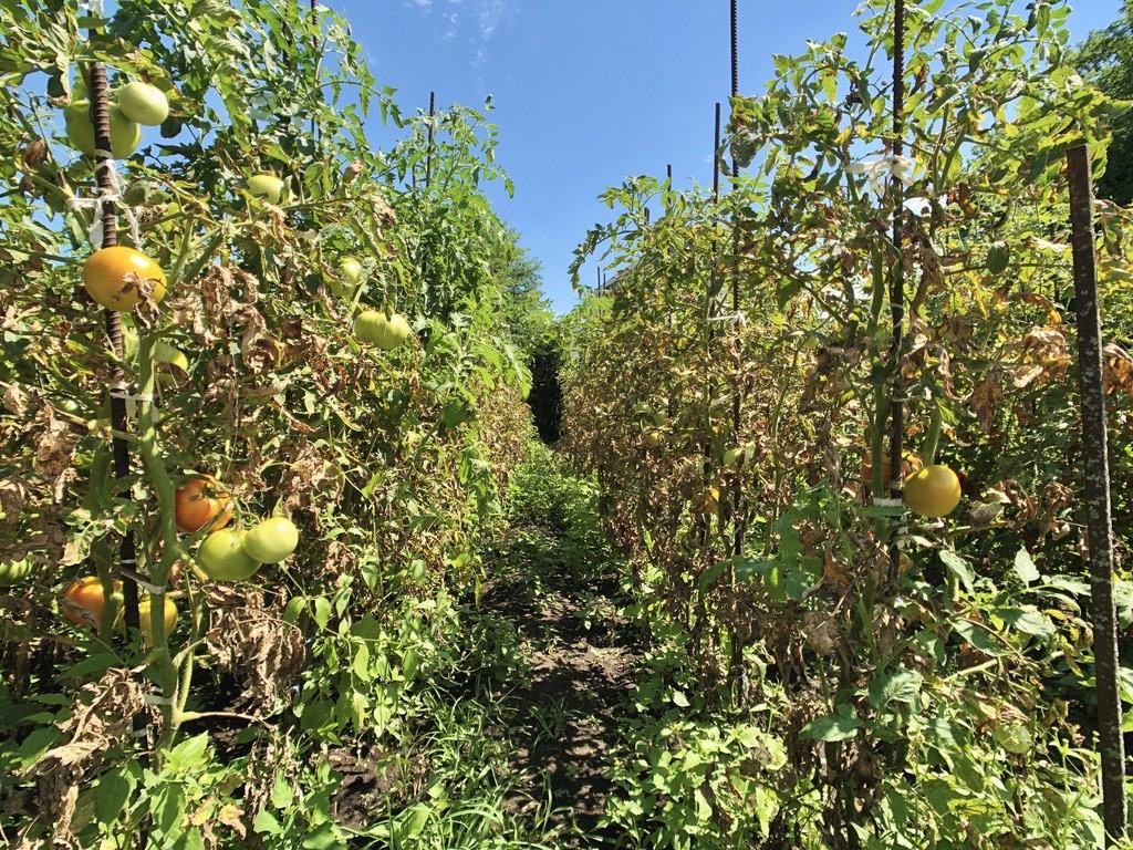 44 Cook Street #2 - Photo 3 of 17