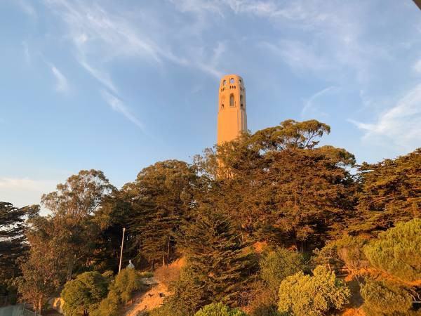 1459 Kearny St - Photo 2 of 21