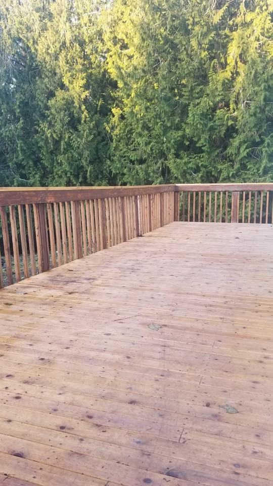 603 Adelma Beach Rd - Photo 2 of 17