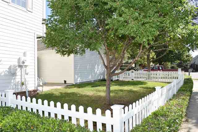 6236 Sherbert Dr - Photo 3 of 19