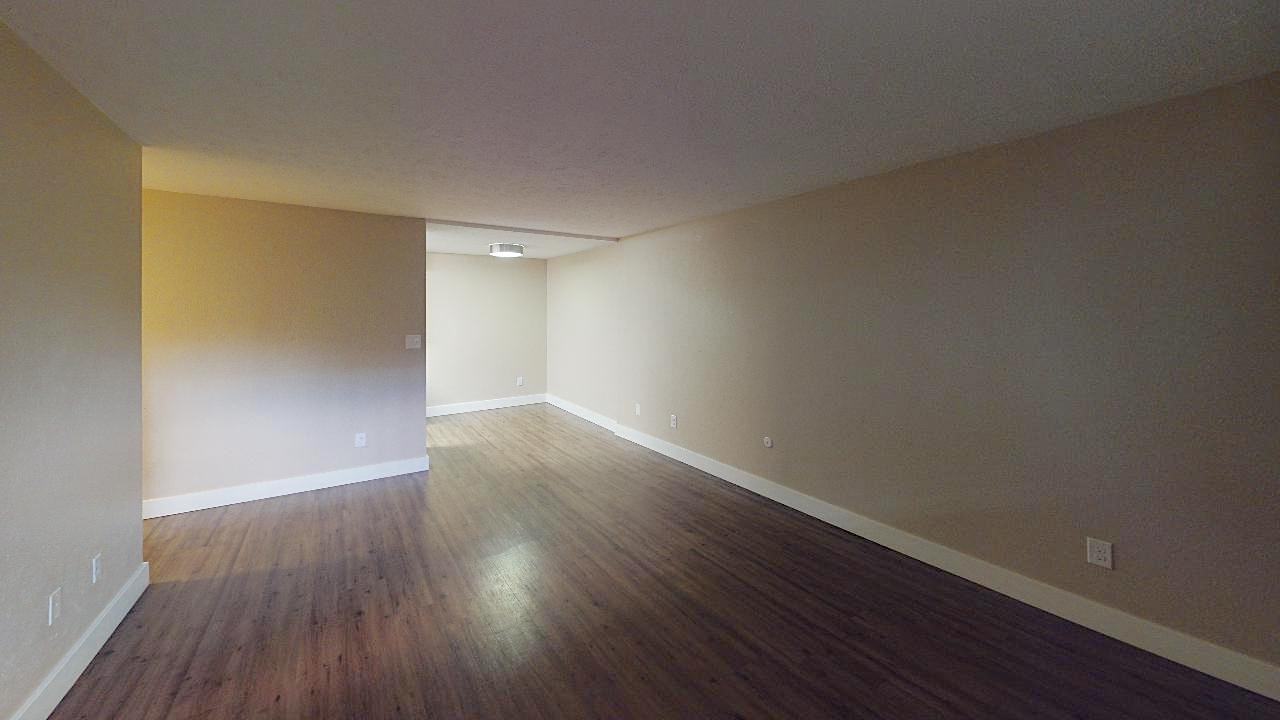 1265 Downing - Photo 4 of 19