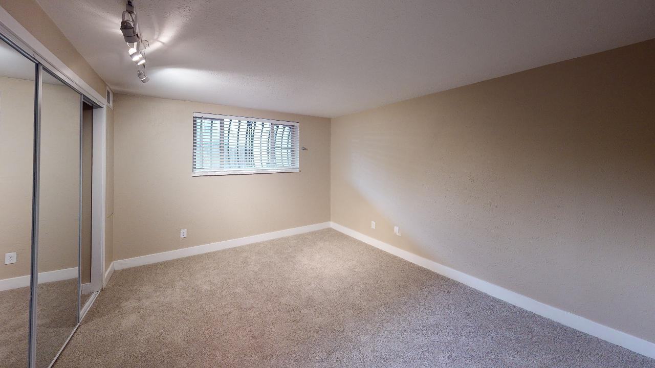 1265 Downing - Photo 6 of 19