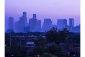 Muse - Photo 2 of 32