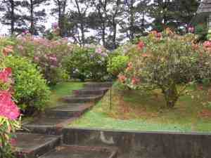 88553 5th Ave - Photo 3 of 13