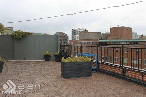 Schiller and Lake Shore Drive - Photo 2 of 10