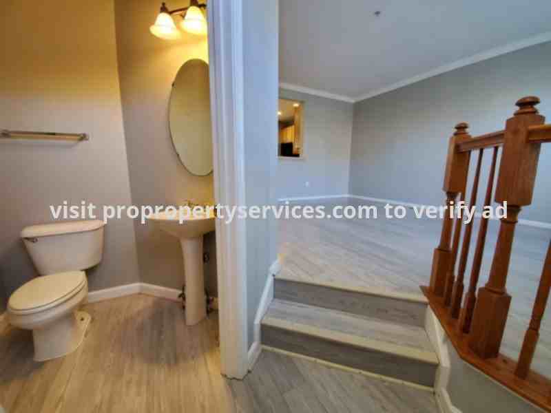 204 Stone Springs Ln - Photo 2 of 33