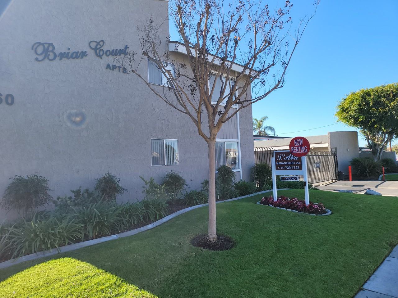 Briar Court - Photo 7 of 7